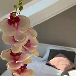 Cozy 아파트 류블랴나