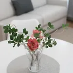 Cozy Apartment