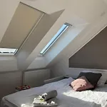 Apartment Cozy