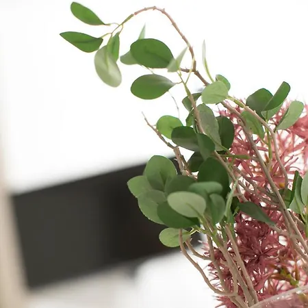 Cozy Апартаменти