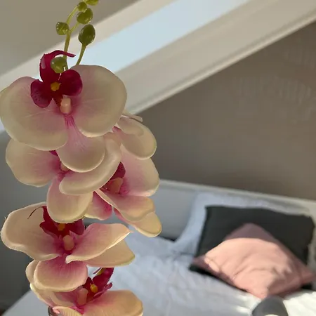 Cozy Апартаменти Любляна