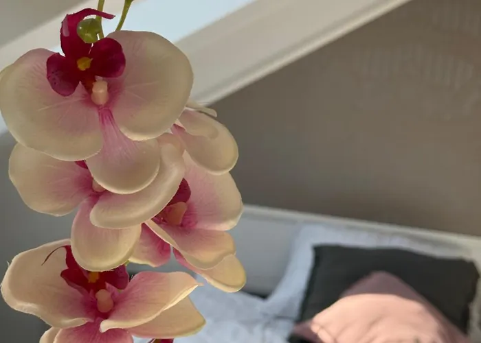 Cozy 公寓 卢布尔雅那